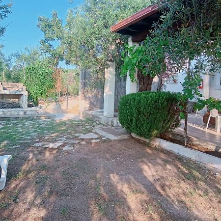 维耶斯泰Casa Del Carrubo别墅 外观 照片